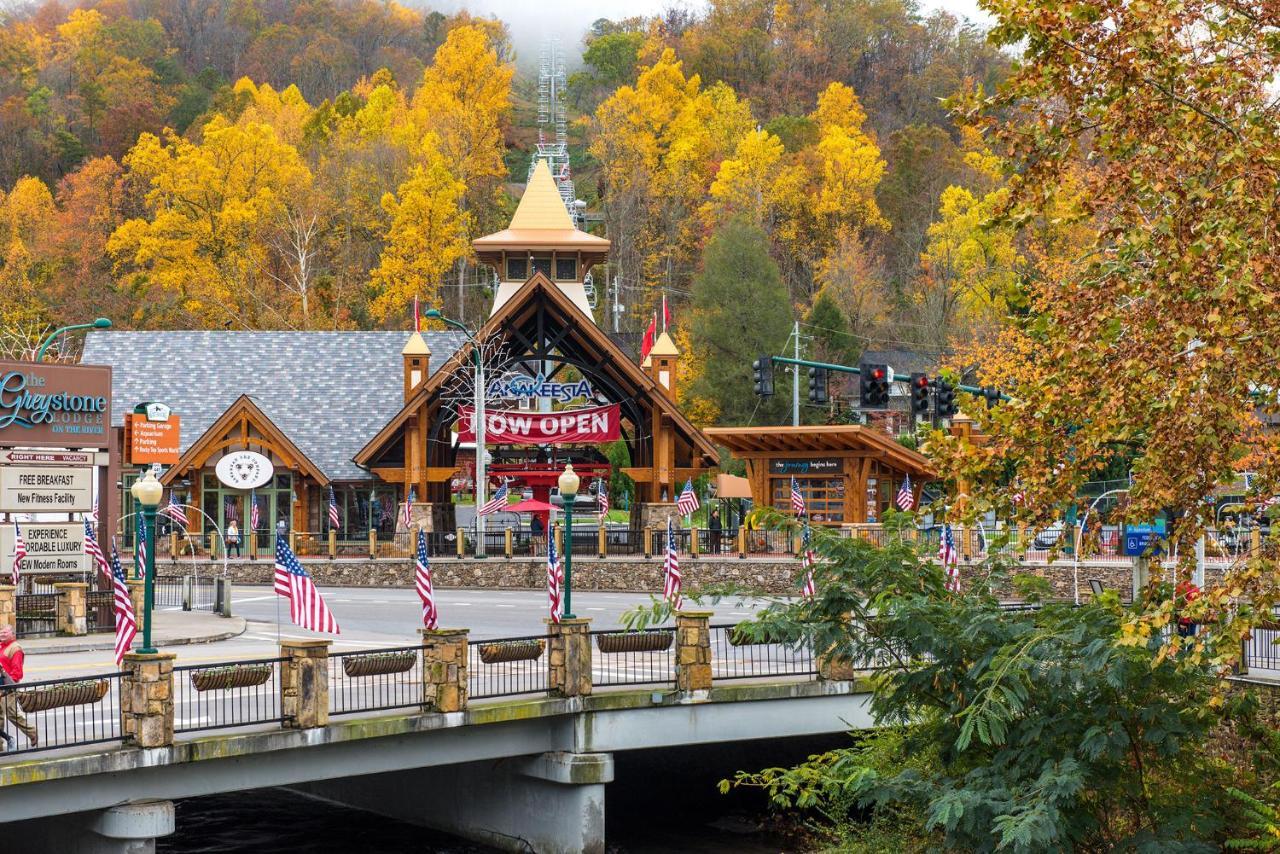 Bear View Chalet, 3 Bedroom, Pool, Pets, Arcades, Wifi, Hot Tub, Sleeps 12 Gatlinburg Exterior foto