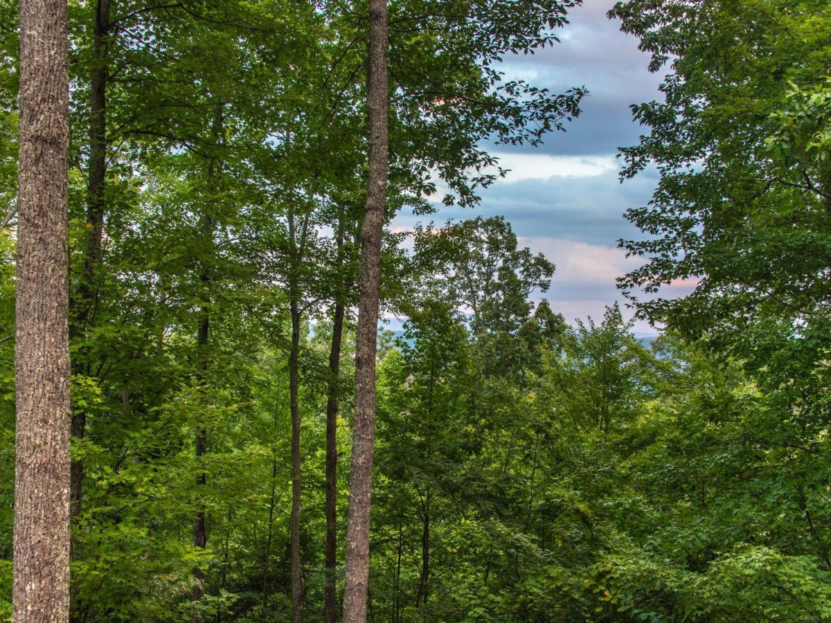 Bear View Chalet, 3 Bedroom, Pool, Pets, Arcades, Wifi, Hot Tub, Sleeps 12 Gatlinburg Exterior foto